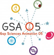 gsa