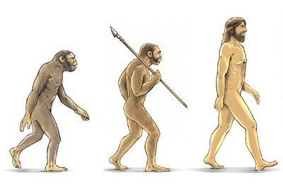  evolution man 